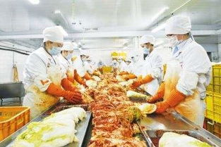 吉林農產品加工業加速向“三化”發展，土特產迎來新機遇